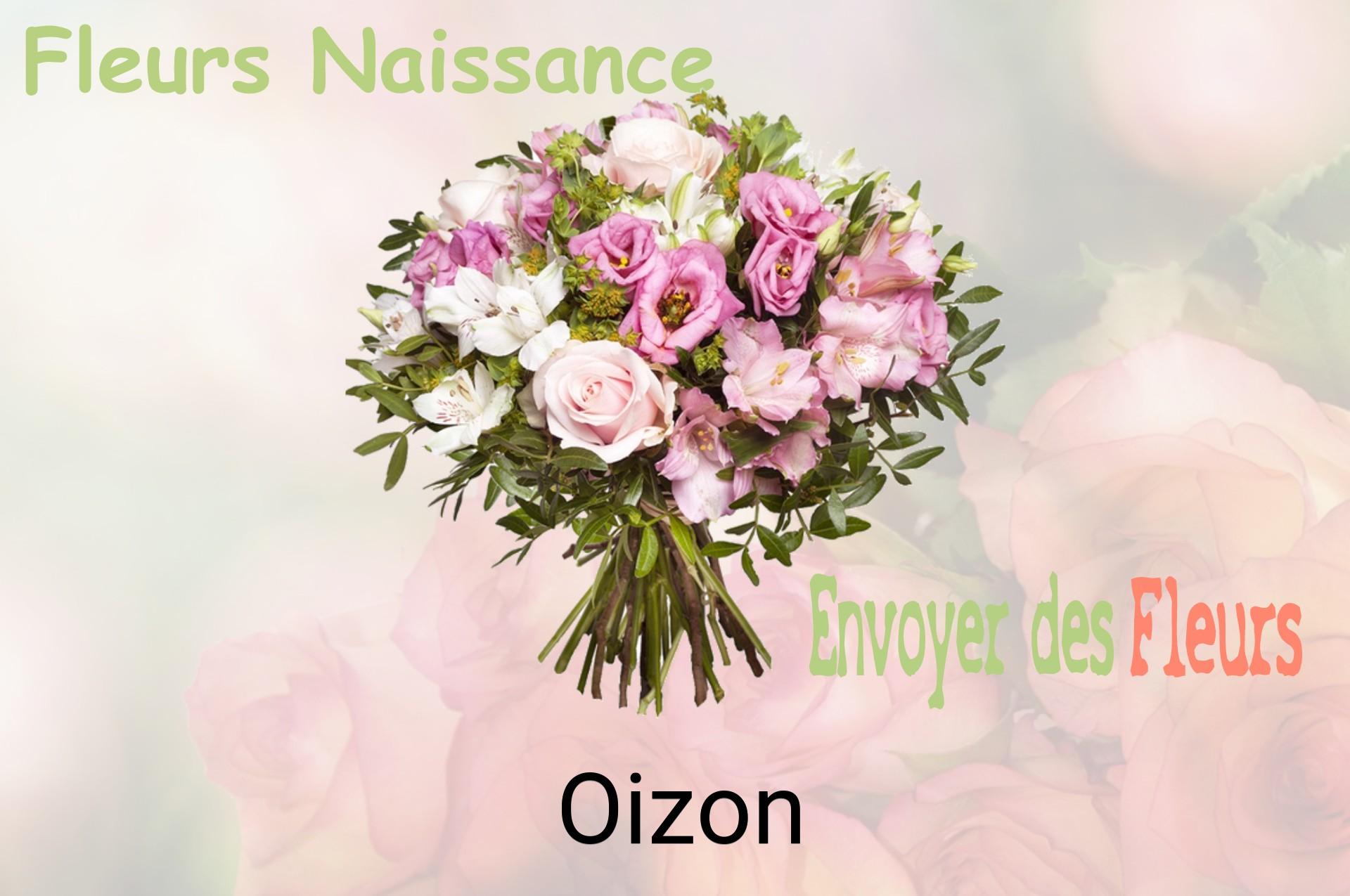 Bouquet de fleurs de naissance livré à Oizon